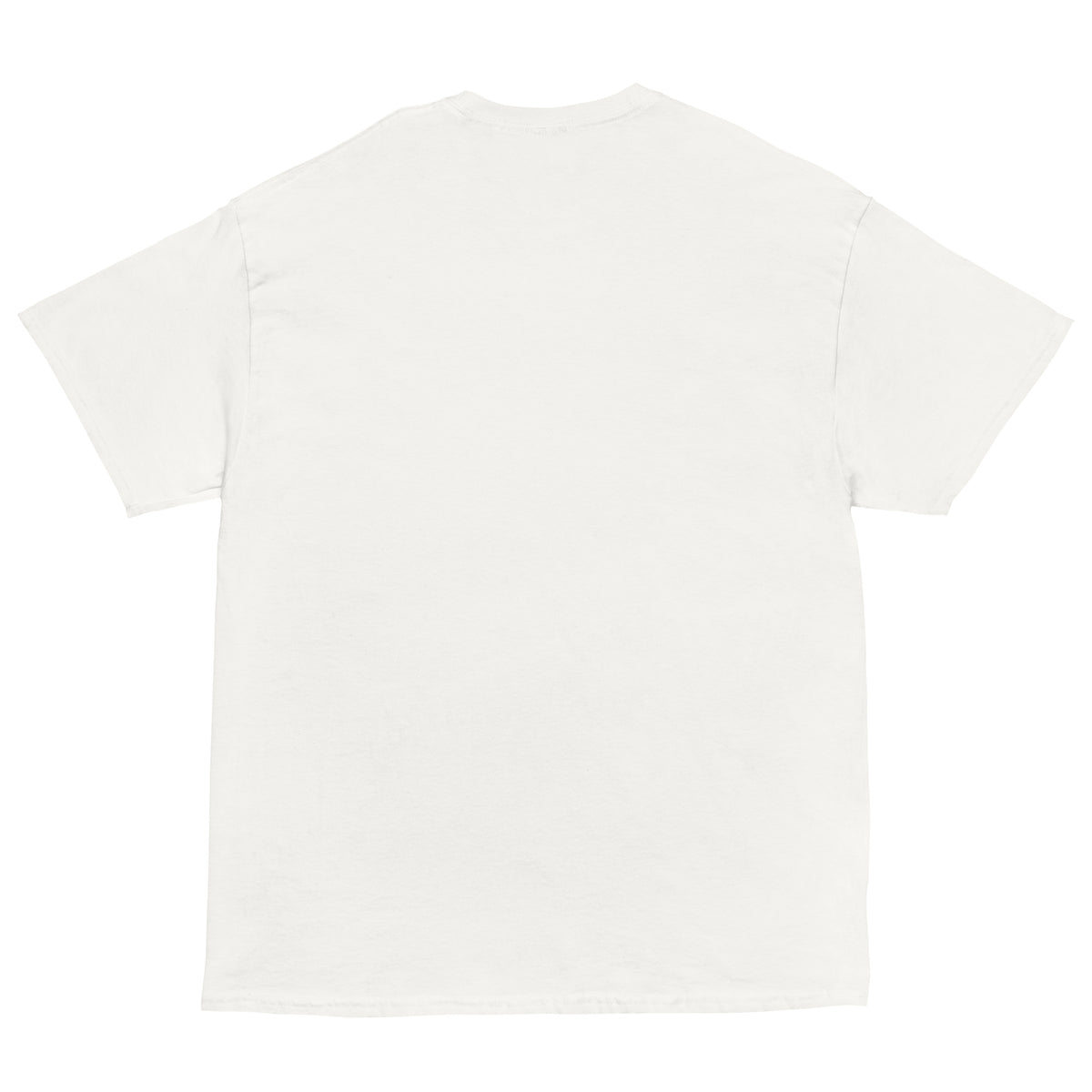 Plain white t-shirt on a white background