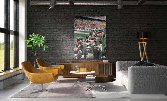 1948 Oklahoma Sooners vs. Texas Longhorns Football Art