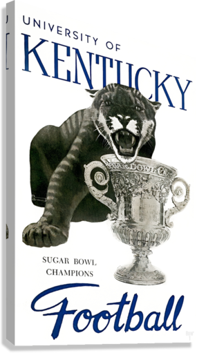 Vintage Kentucky Wildcat Giclée Stretched Canvas Print