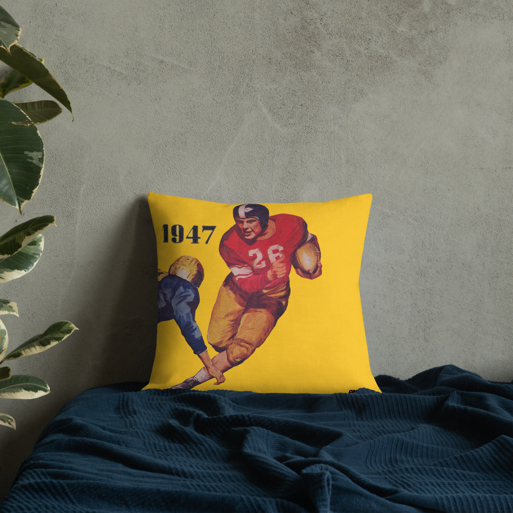 football throw pillows, best sports pillows