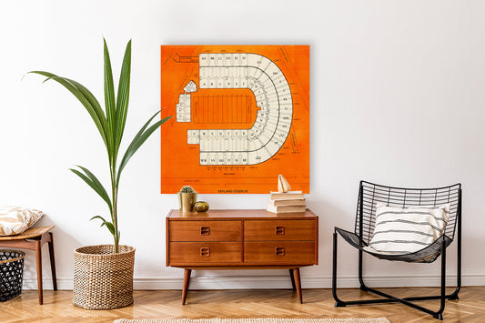 Vintage Neyland Stadium Map Art
