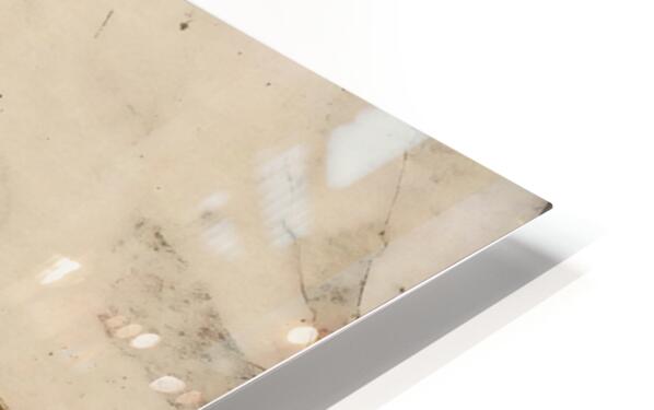 2709551 :: HD Sublimation Metal Print