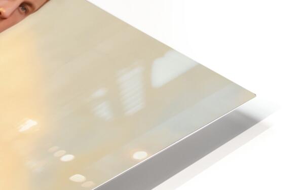2710252 :: HD Sublimation Metal Print