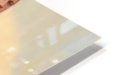 2710252 :: HD Sublimation Metal Print