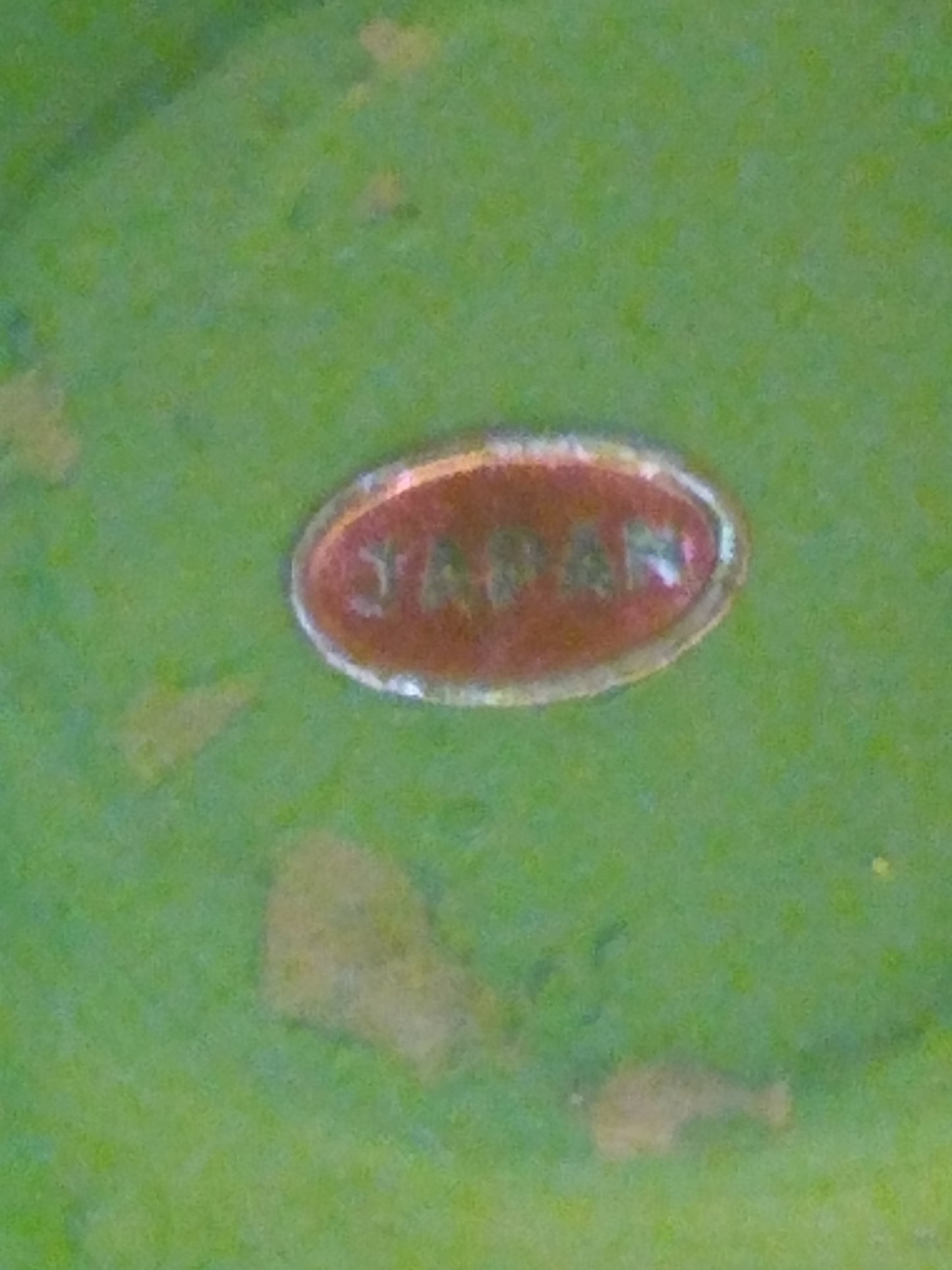 1960s Harlem Globetrotters Bobblehead | Rare Sports Collectible