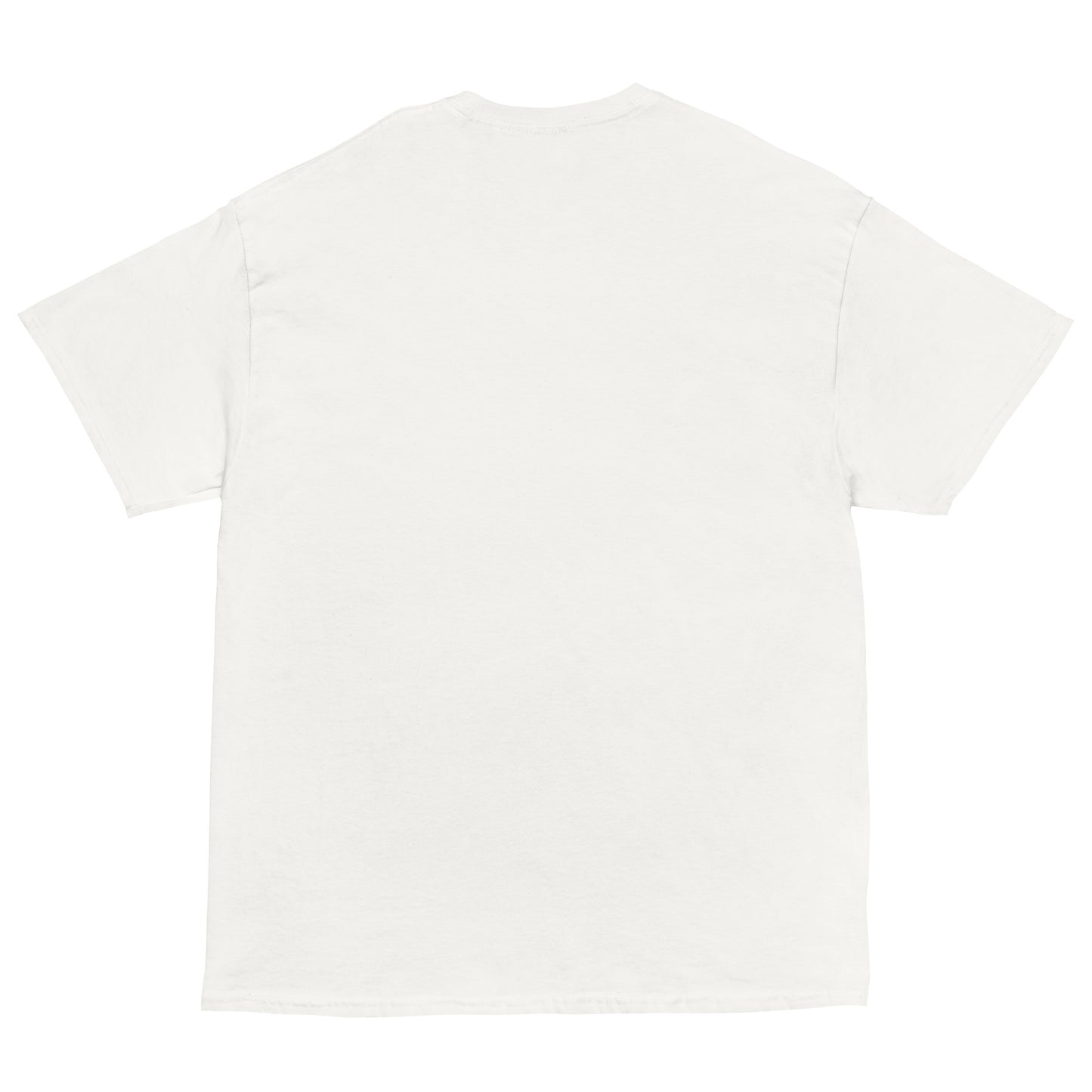 Plain white t-shirt on a white background