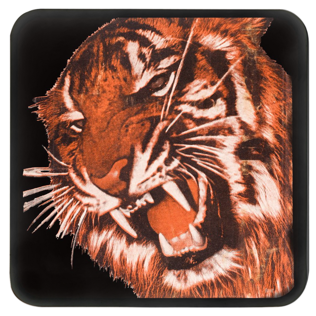Tiger Art Drink Coasters
